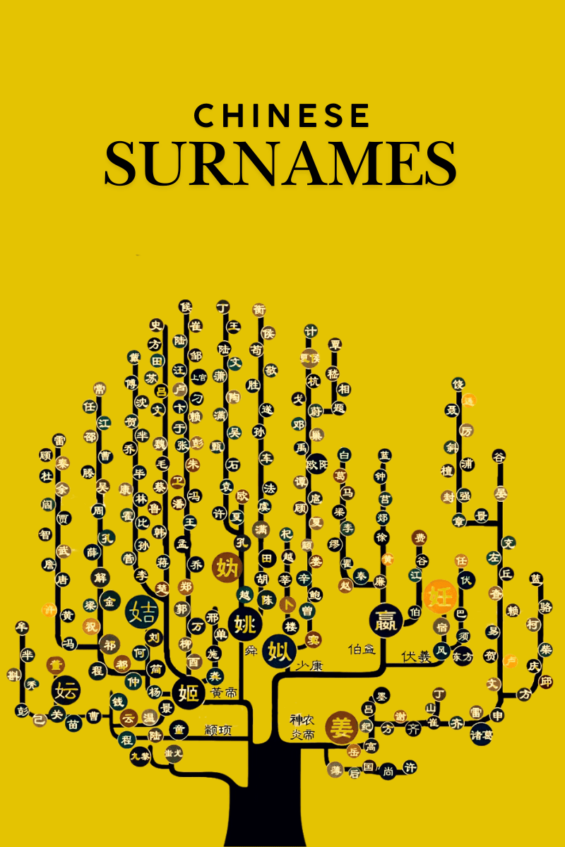 Diverse collection of Chinese surnames highlighting their historical and cultural significance.