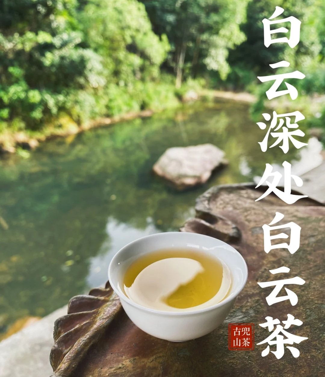 A cup of Beifeng Mountain White Cloud Tea placed by a tranquil river in Taishan, Guangdong, reflecting the Toysanese people's rich tea culture