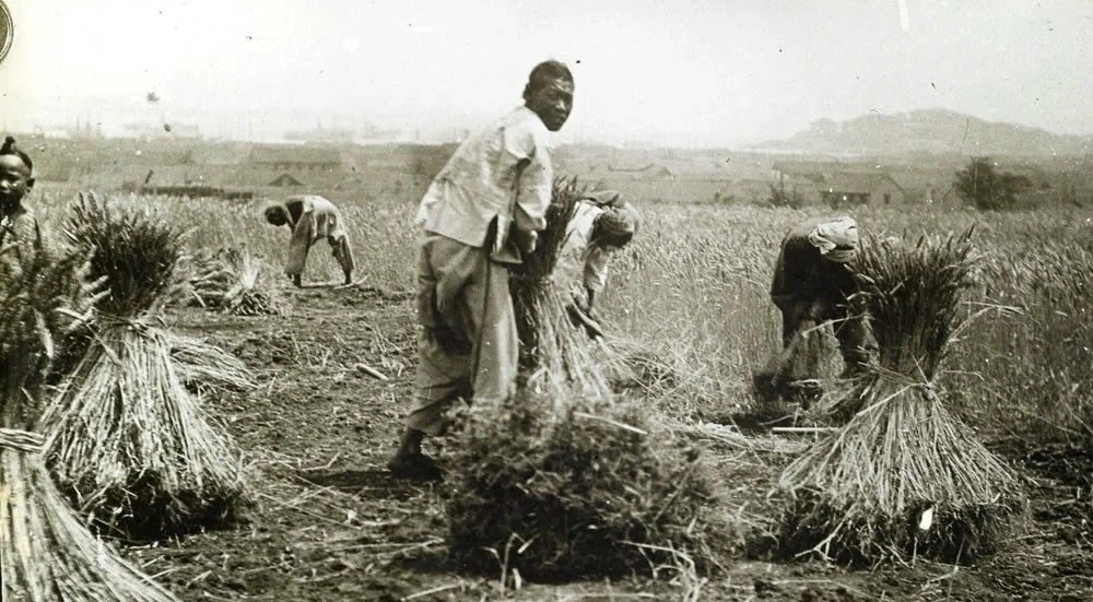 Historical depiction of rural poverty in late 19th century Qing Dynasty, highlighting the struggles of peasants and farmers amid economic hardship.