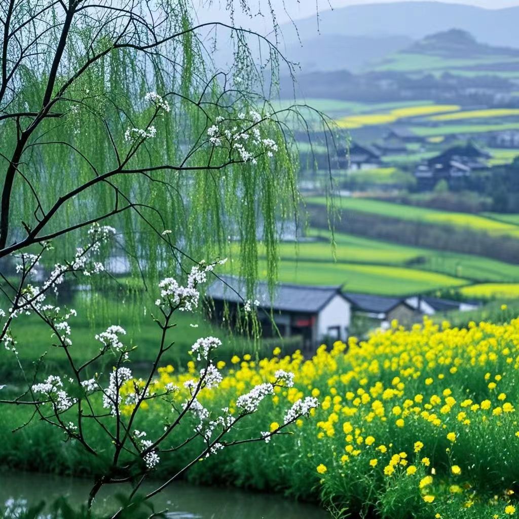 A lush Qingming landscape featuring willow trees, blooming pear blossoms, and golden rapeseed fields under a misty sky