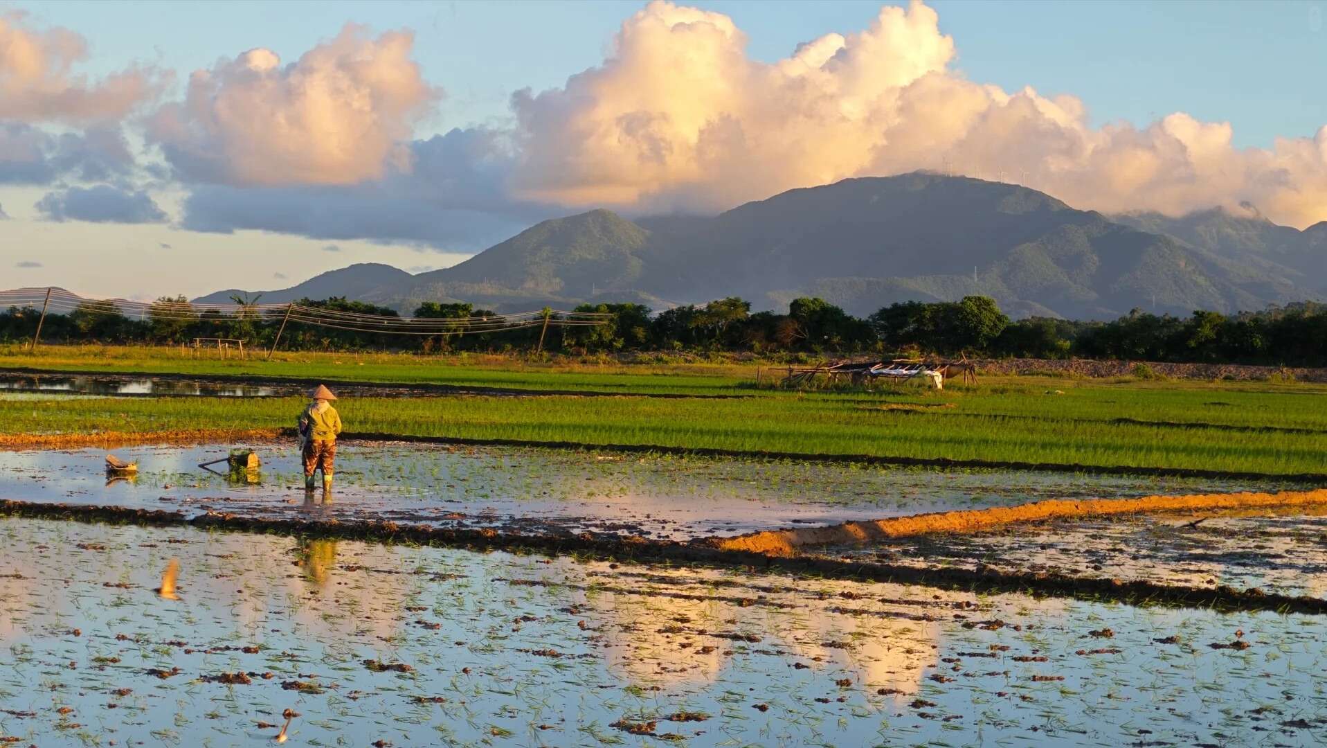 Traditional Chinese farmer standing in a flooded field with mountains in the background