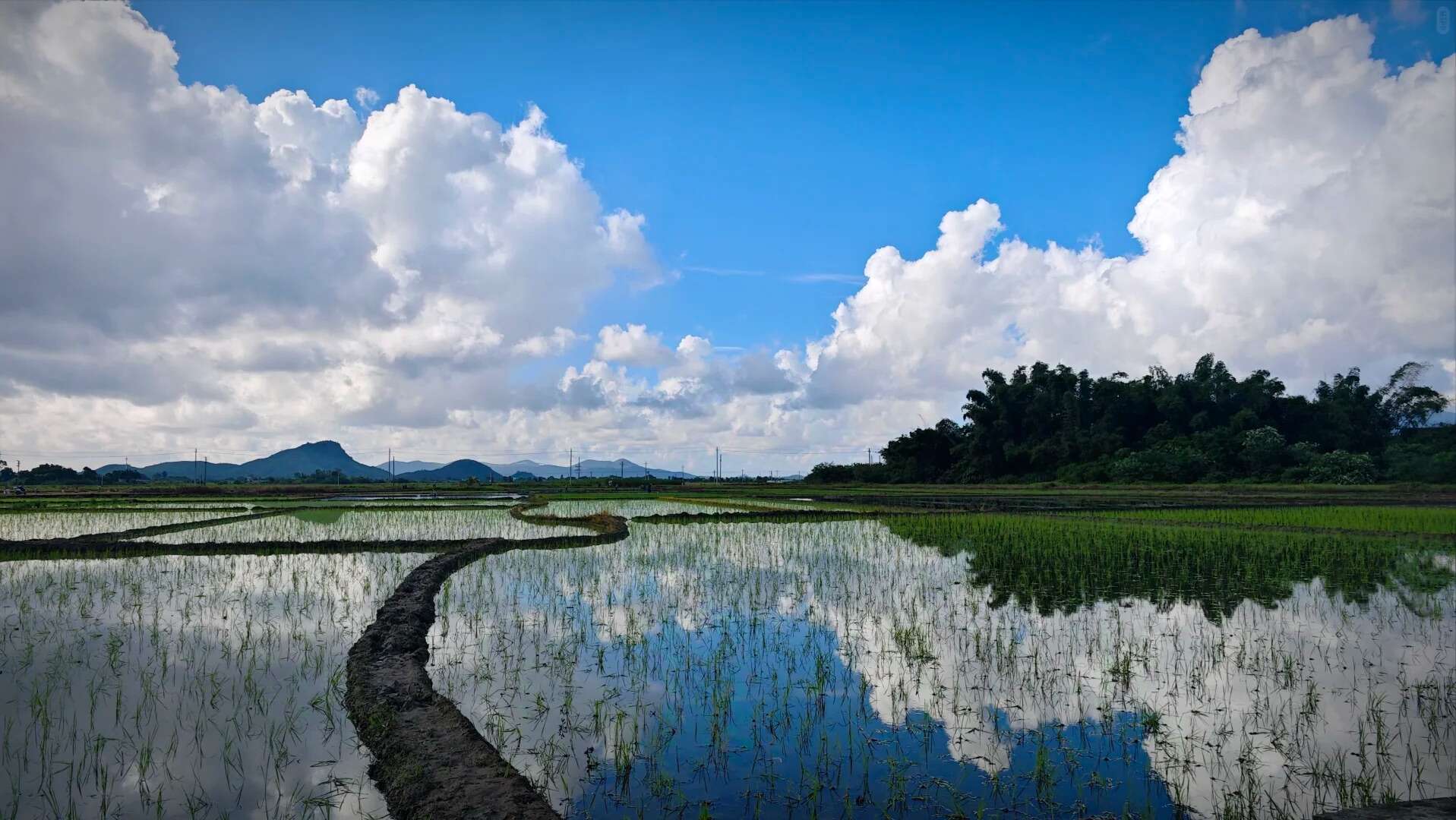Curved paths between rice paddies under dramatic skies in rural China