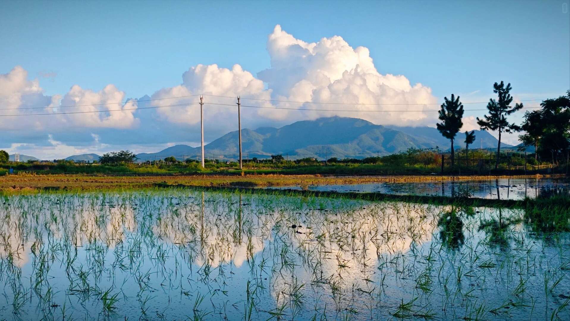Reflection of clouds and mountains in rice paddies in rural China