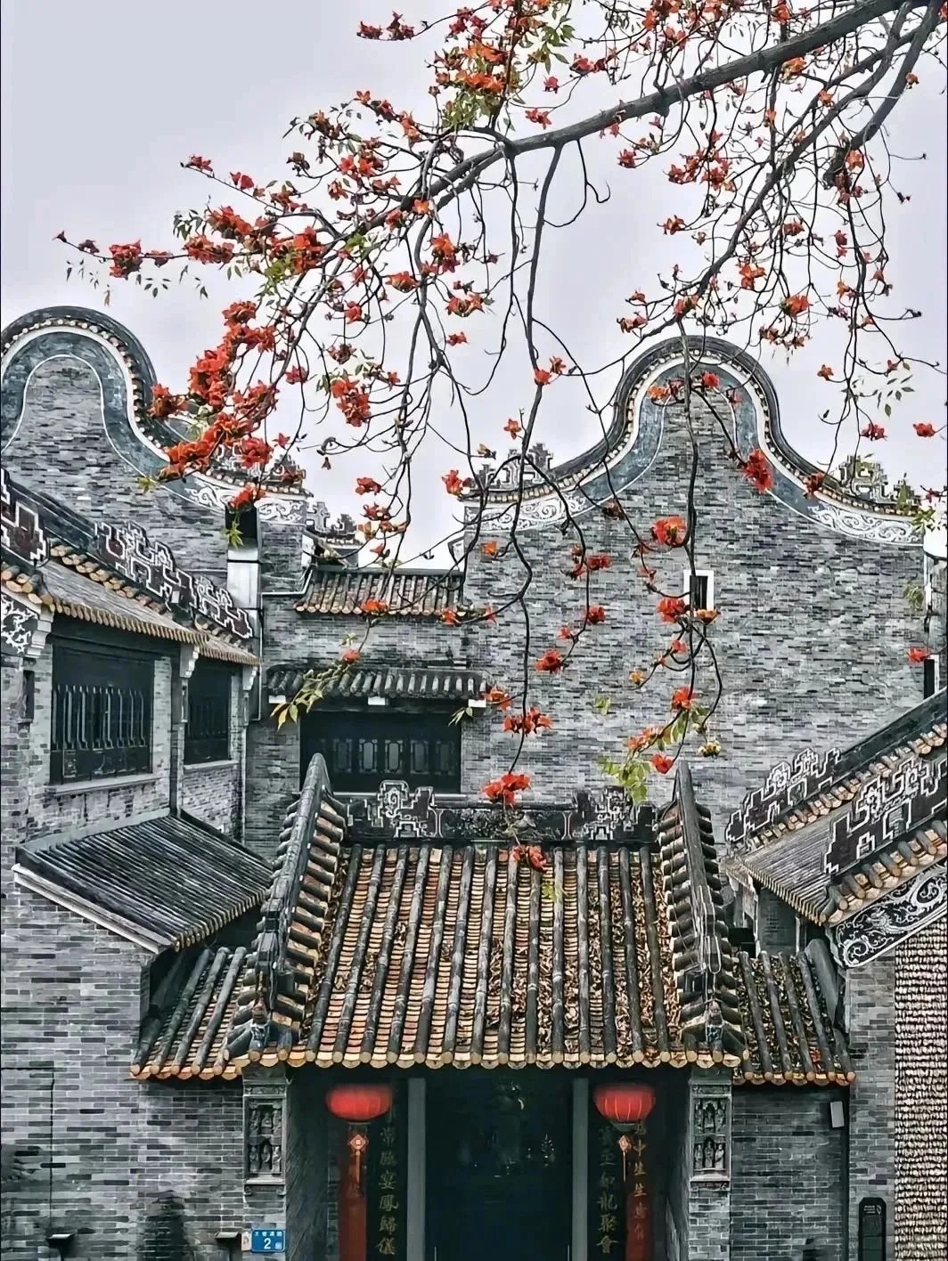 Lingnan wok-ear roof house with kapok tree flowers in spring, traditional Cantonese architecture in Guangdong
