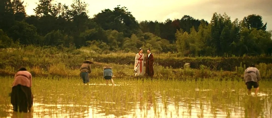 Farmers planting rice in golden light as two scholars in Hanfu observe from a ridge, capturing Tianxia’s union of labor and governance