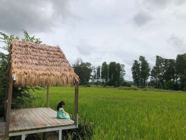 Little girl sitting in a wooden hut next to a rice paddy field in Kaiping, China, surrounded by lush green scenery